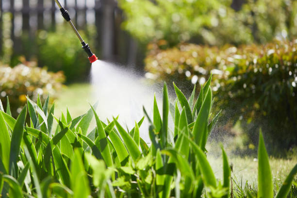 24/7 Emergency Wasp Removal experts in Country Club Hills, MO